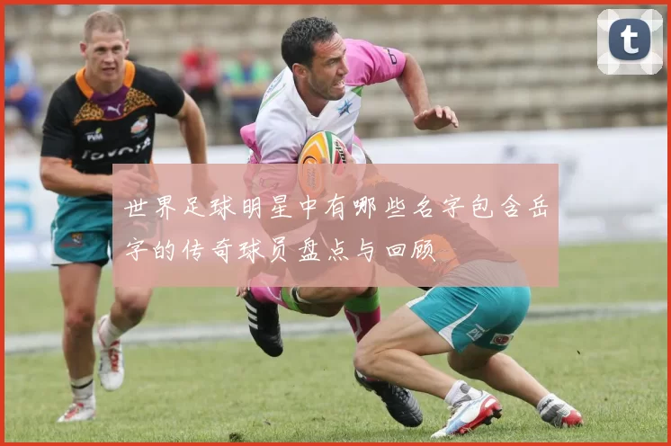 世界足球明星中有哪些名字包含岳字的传奇球员盘点与回顾