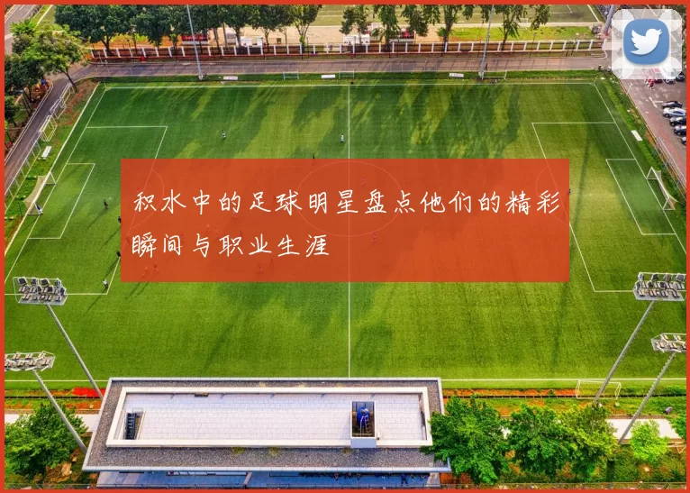 积水中的足球明星盘点他们的精彩瞬间与职业生涯