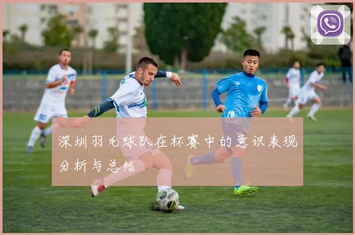 深圳羽毛球队在杯赛中的意识表现分析与总结