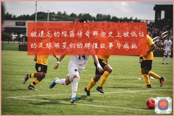 被遗忘的绿茵传奇那些史上被低估的足球明星们的辉煌故事与成就