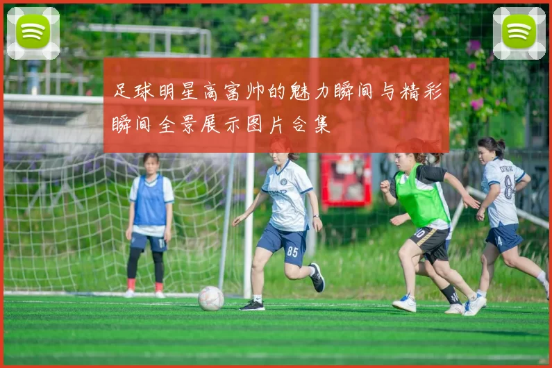 足球明星高富帅的魅力瞬间与精彩瞬间全景展示图片合集