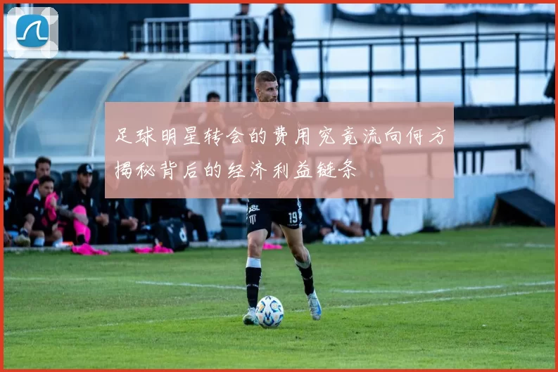 足球明星转会的费用究竟流向何方揭秘背后的经济利益链条