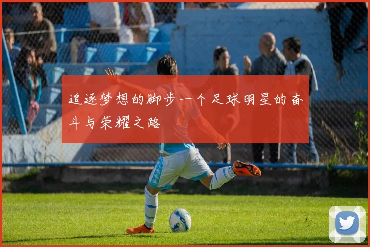 追逐梦想的脚步一个足球明星的奋斗与荣耀之路