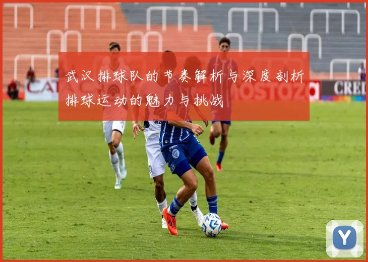 武汉排球队的节奏解析与深度剖析排球运动的魅力与挑战