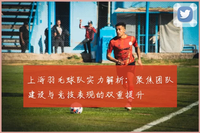 上海羽毛球队实力解析：聚焦团队建设与竞技表现的双重提升