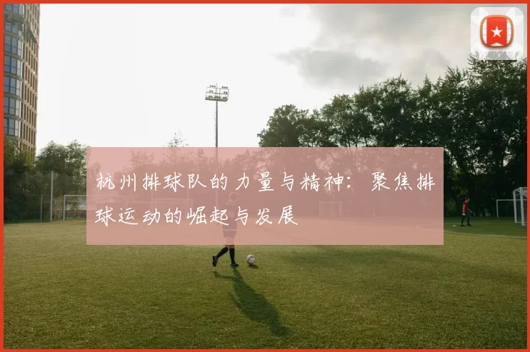 杭州排球队的力量与精神：聚焦排球运动的崛起与发展