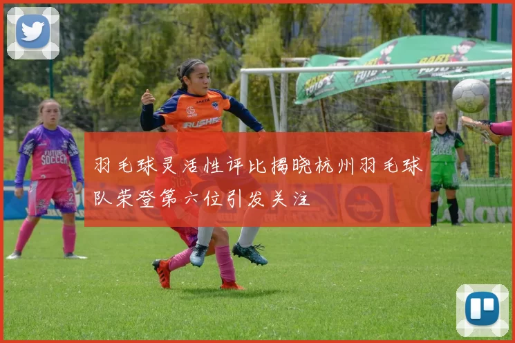 羽毛球灵活性评比揭晓杭州羽毛球队荣登第六位引发关注