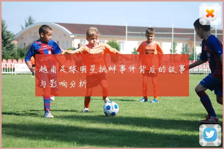 越南足球明星挑衅事件背后的故事与影响分析