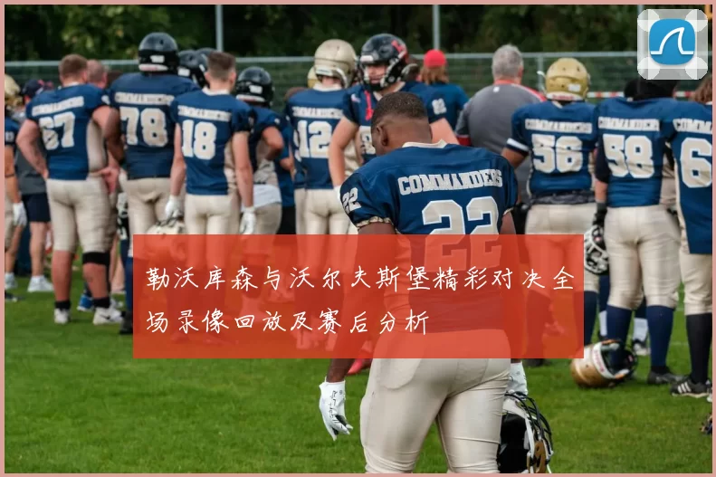 勒沃库森与沃尔夫斯堡精彩对决全场录像回放及赛后分析