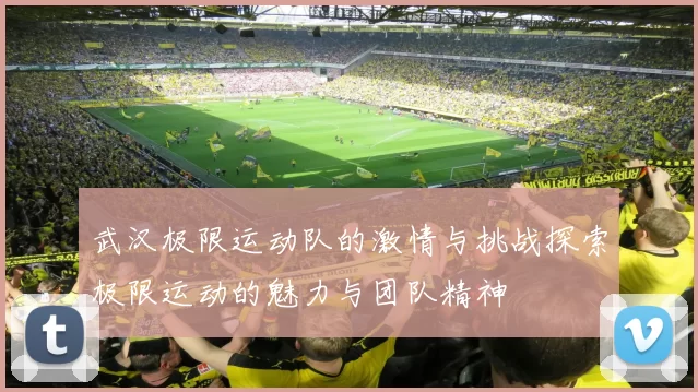 武汉极限运动队的激情与挑战探索极限运动的魅力与团队精神