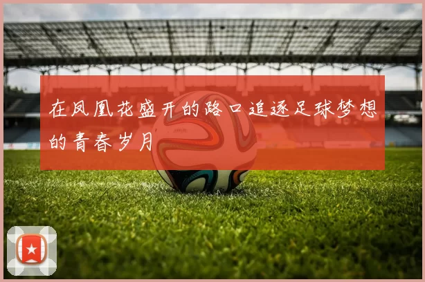 在凤凰花盛开的路口追逐足球梦想的青春岁月
