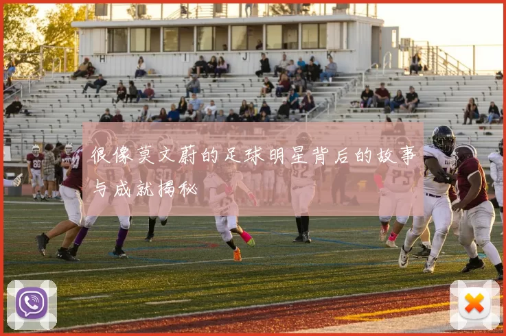 很像莫文蔚的足球明星背后的故事与成就揭秘