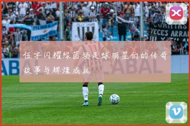 伍字闪耀绿茵场足球明星们的传奇故事与辉煌成就