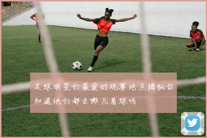 足球明星们最爱的观赛地点揭秘你知道他们都去哪儿看球吗