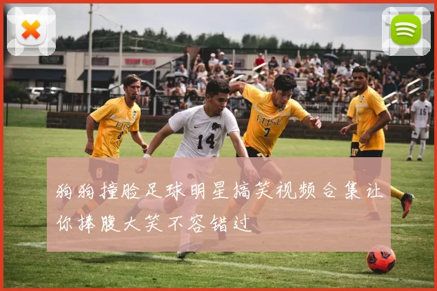 狗狗撞脸足球明星搞笑视频合集让你捧腹大笑不容错过