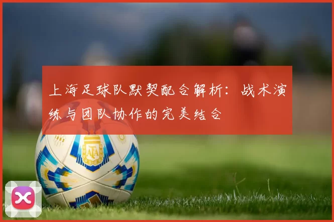 上海足球队默契配合解析：战术演练与团队协作的完美结合