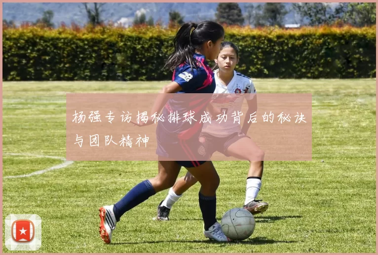 杨强专访揭秘排球成功背后的秘诀与团队精神