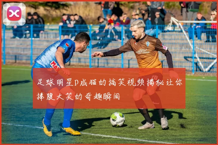 足球明星p成猫的搞笑视频揭秘让你捧腹大笑的奇趣瞬间